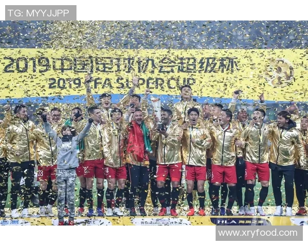 上海上港与首尔精彩对决全场录像回放及精彩瞬间分析