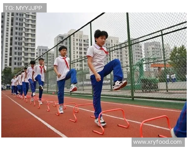 校外体育培训机构如何提升青少年运动能力与健康素养的探讨与实践